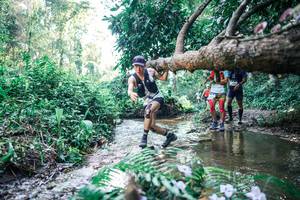 BIB: 
                            <button type="button" onclick="openModal(25446269)" class="btn btn-primary btn-sm float-right btn-popup" data-toggle="modal" data-target=".modal-high-quality">
                        <i class="fas fa-shopping-cart"></i> Add to Cart
                    </button>
                                            <button type="button" onclick="isThisMe(25446269, true)" class="btn btn-success btn-sm float-right btn-popup btn-isme hidden" data-toggle="tooltip" data-placement="bottom" title="นี่คือรูปของคุณใช่ไหม คลิกที่นี่เพื่อเอาเข้าอัลบั้ม">
                        <i class="fas fa-plus"></i> Add to album
                    </button>
                    <button type="button" onclick="isThisMe(25446269, false)" class="btn btn-warning btn-sm float-right btn-popup btn-isnotme hidden">
                        <i class="fas fa-ban"></i> Remove from album
                    </button>